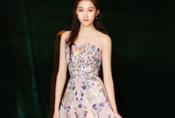 吃瓜娱乐圈关晓彤,娱乐圈的青春女神与成长之路