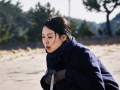 昔我晚矣我在娱乐圈吃瓜,昔我晚矣，吃瓜之旅