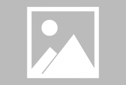 唐老鸭漫画,欢乐与智慧的碰撞之旅