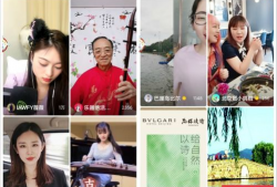 娱乐圈深度吃瓜直播视频,直播视频带你领略明星幕后生活