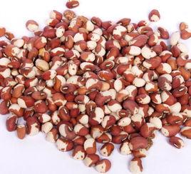 酸麻豆,探寻传统美食的独特魅力