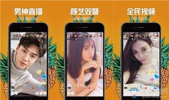 91菠萝直播app,打造全新娱乐体验的直播平台